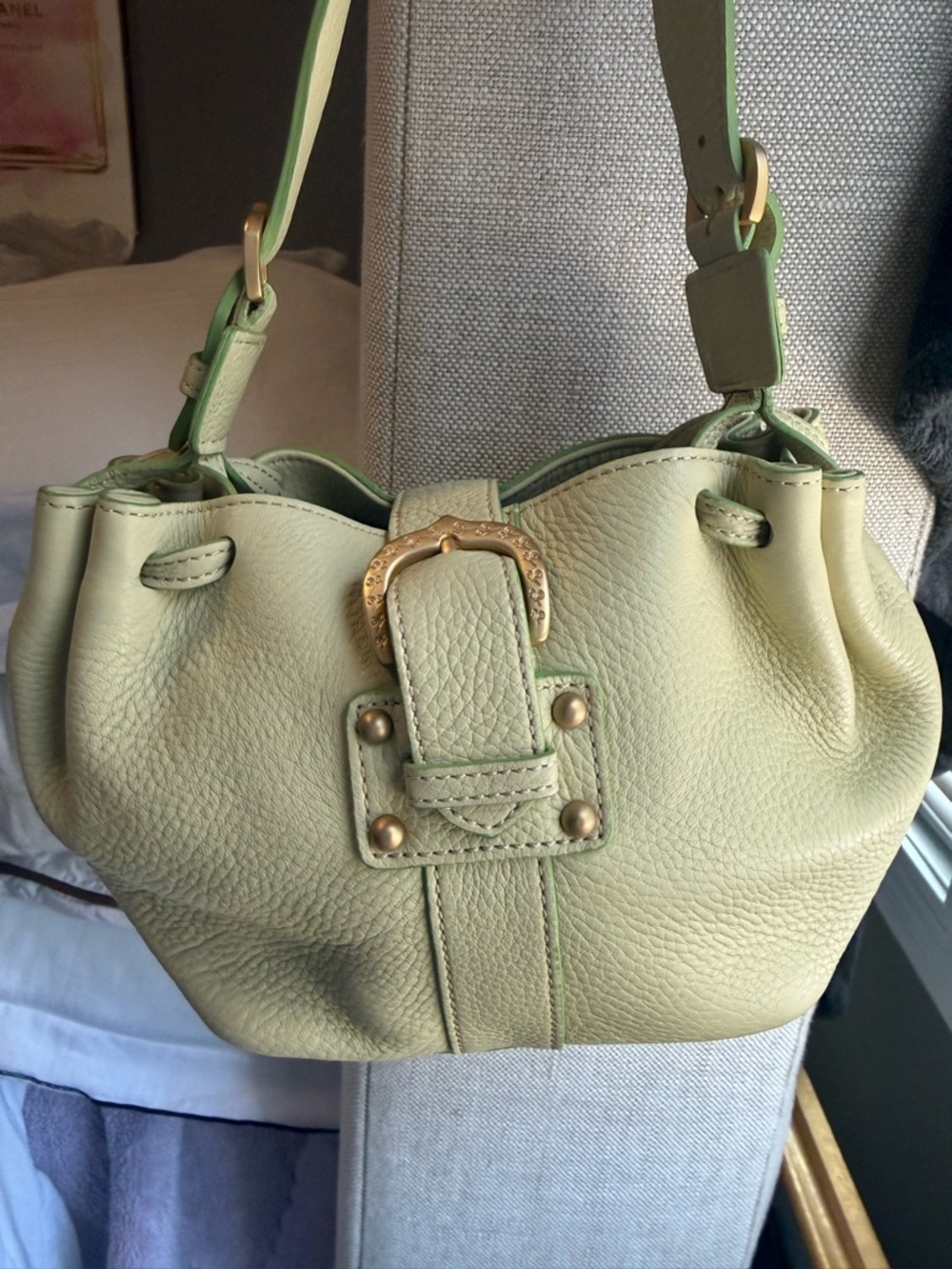 Dooney & Bourke Pale Green Pebbled Leather Shoulder Bag with Gold Hardware - Picture 2 of 5